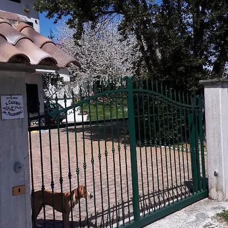 Il Ciliegio Del Pellegrino דירה *