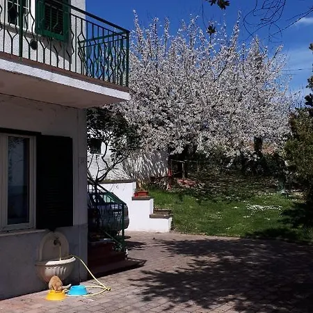 Il Ciliegio Del Pellegrino *