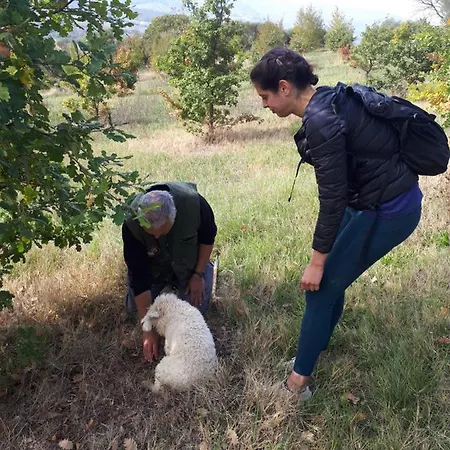 Apartamento Il Ciliegio Del Pellegrino *