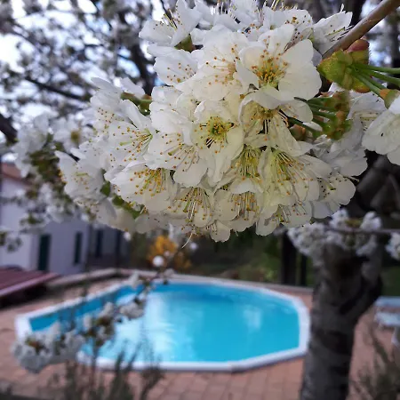 Il Ciliegio Del Pellegrino Apartamento Gubbio