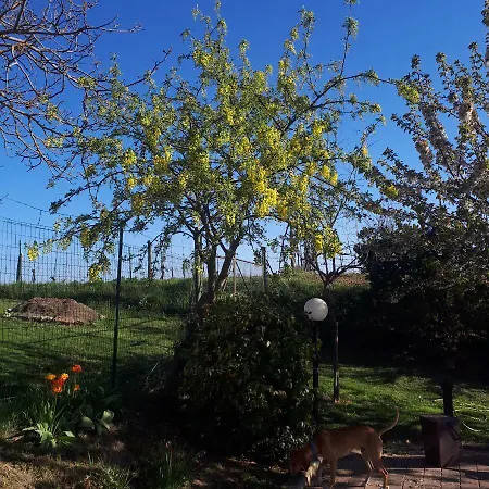 Il Ciliegio Del Pellegrino Apartamento *