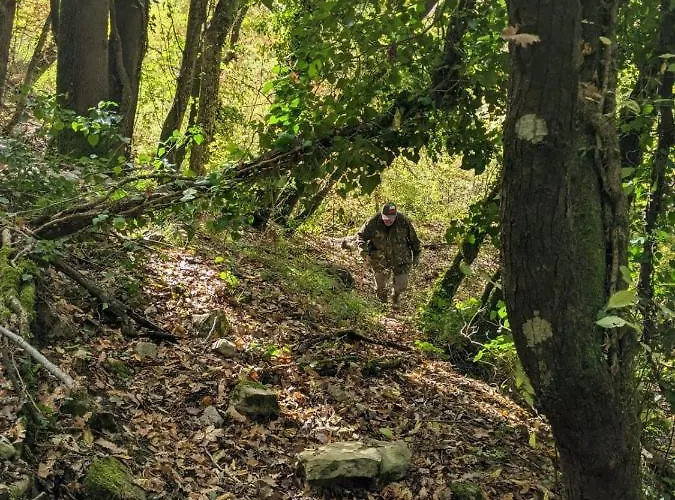 Il Ciliegio Del Pellegrino Lejlighed Gubbio
