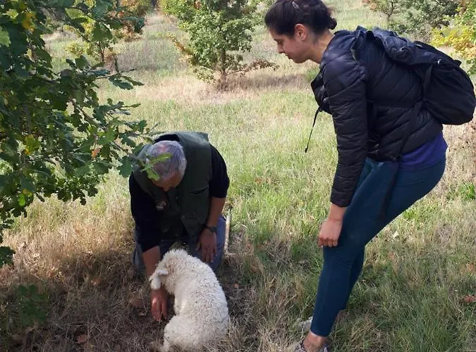 Lejlighed Il Ciliegio Del Pellegrino *