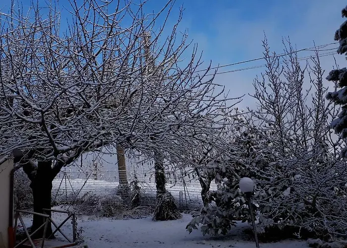 Il Ciliegio Del Pellegrino Lejlighed Gubbio