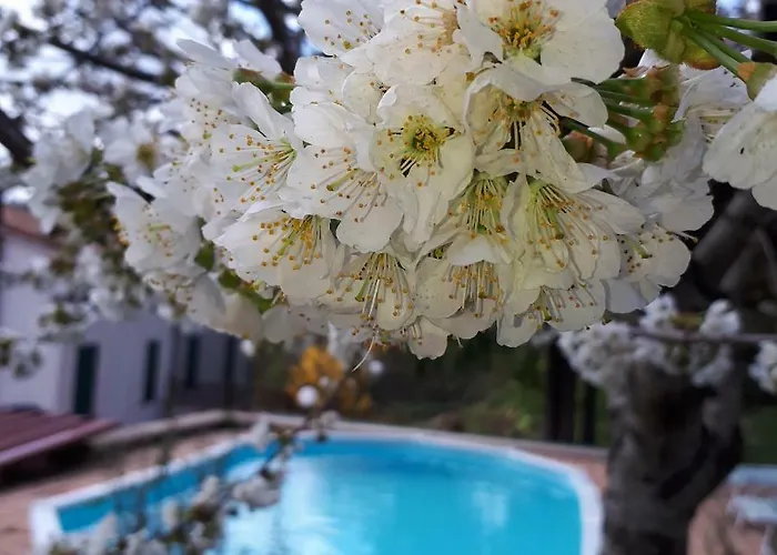 Il Ciliegio Del Pellegrino Lejlighed Gubbio