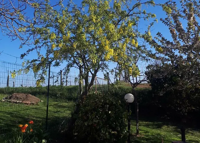 Il Ciliegio Del Pellegrino Lejlighed *